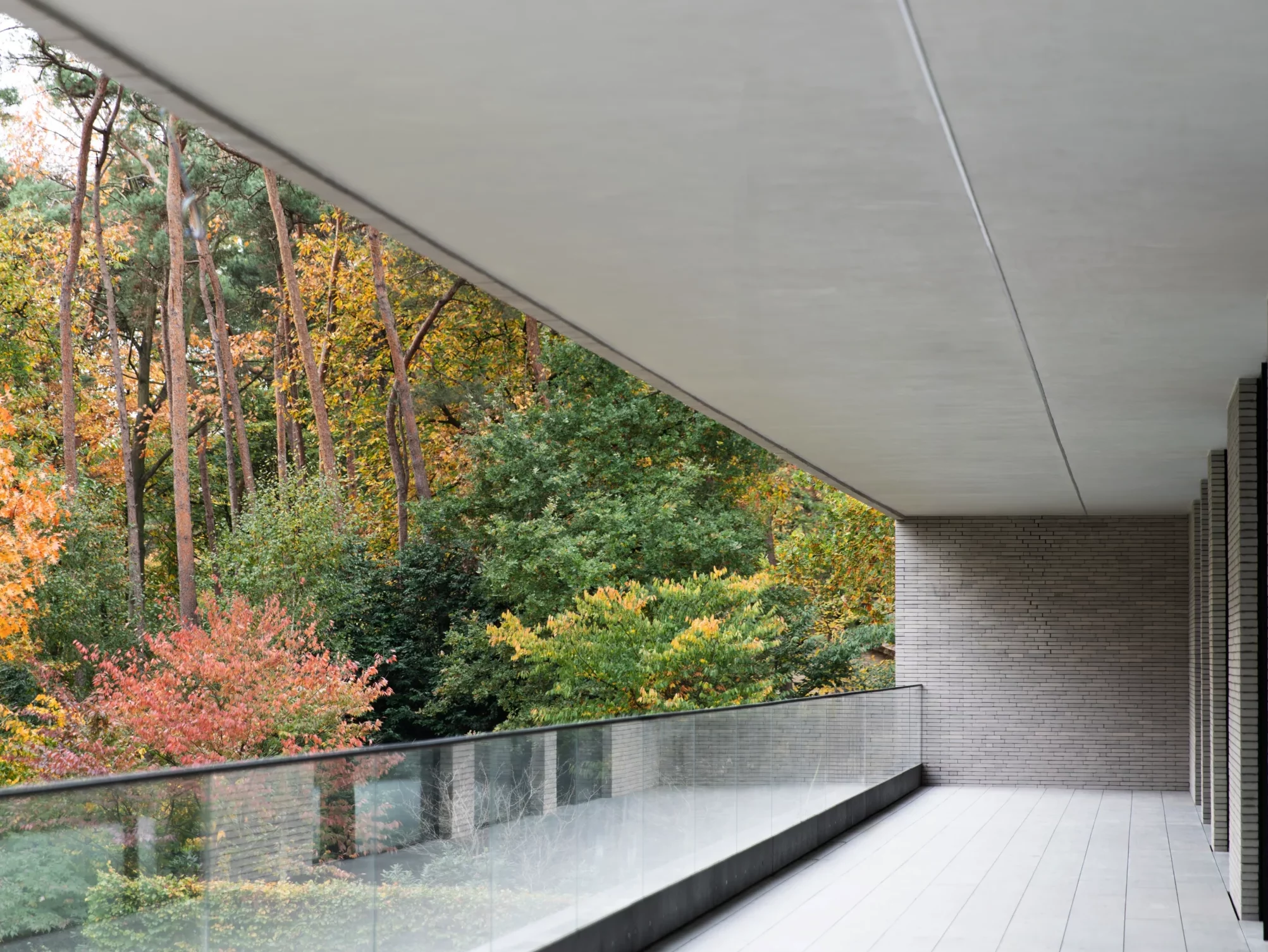 Terrasrenovatie Lokeren bos achtergrond